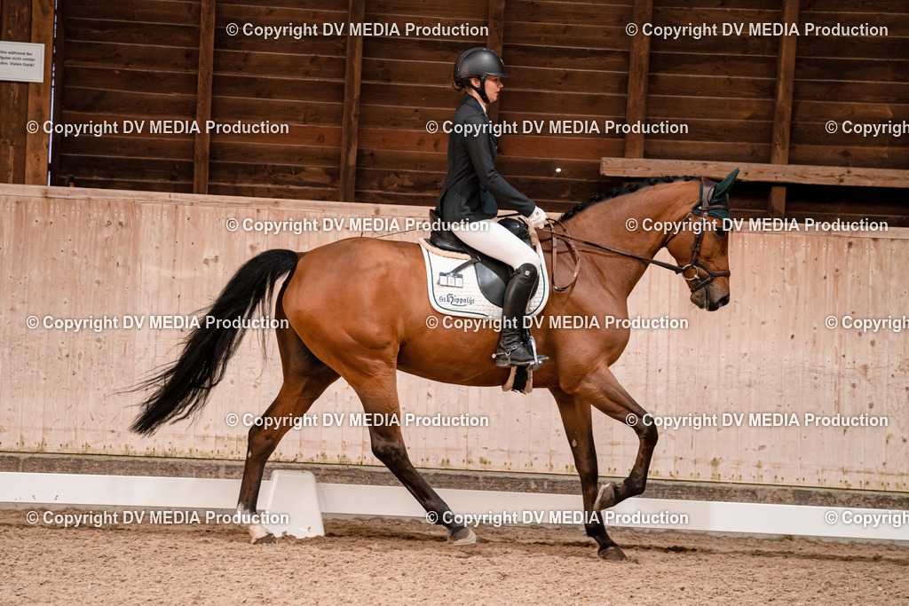 Dressur Tag 2-150 | dv-media-shop - Realisiert mit Pictrs.com