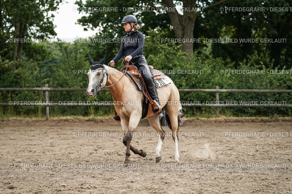 DSC03705 | Pferdegrafie