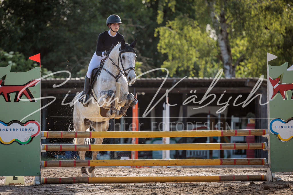 20260529-_3LI0856 | Tierfotografie Pferde, Hunde, Katzen, Haustiere.
Turnierfotografie Reitturniere, Reiten, Springreiten, Dressur in Hanau, dem Main-Kinzig-Kreis und dem Rhein-Main- Gebiet um Frankfurt