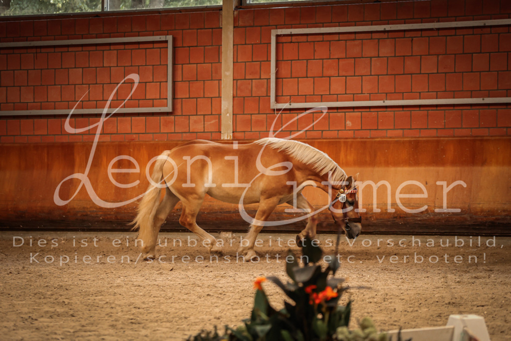 SaFL00205 | Leoni Ertmer Photography - Realisiert mit Pictrs.com