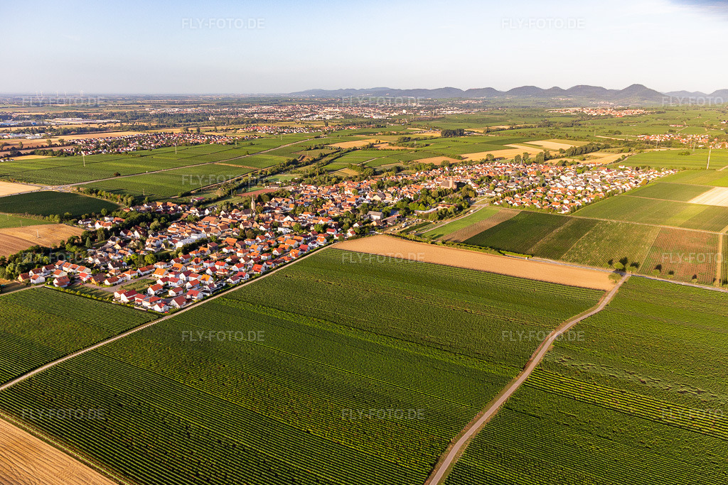 Luftbild: Landwirtschaftliche Nutzflächen und Feldgrenzen umsäumen das Siedlungsgebiet des Dorfes in Essingen im Bundesland Rheinland-Pfalz in Deutschland. Foto: IMG_116610.jpg vom 11.08.2019 durch Werner Riehm/FLY-FOTO.de