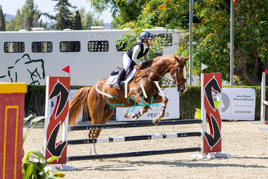 IMG_9972 | s-jay-photography - Realisiert mit Pictrs.com