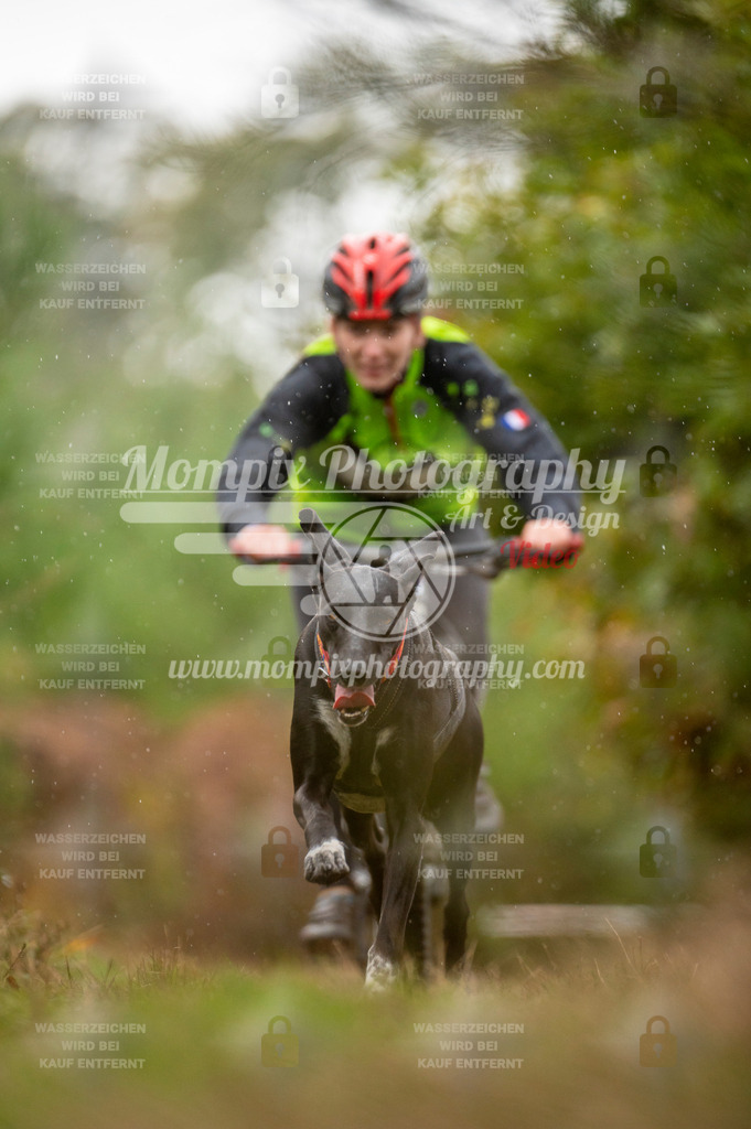TSB_2023_E5_Bike-39 | PayLife