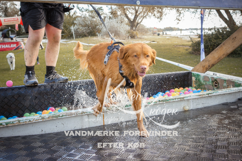 1324_ZZ90570-2 | kk-dogfotos