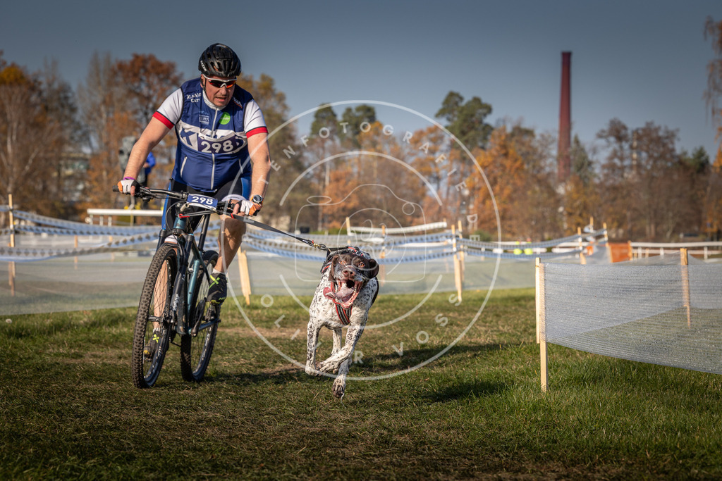 CaniXpix_0L8A7895 | Hundefotografie, Tierfotograf, Pfotenfotografie, Fotoshooting Hund, Hunde Portrait, Hundesport, Hundeportraits, Heideshooting, Hunde, Sportfotograf, Hundefotograf, Turnierhundsport, THS,  - Realisiert mit Pictrs.com