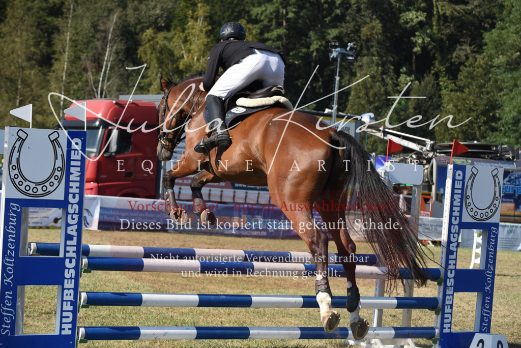 DSC_5354 | Pferde- und Turnierfotografie in Westsachsen. Pferdeportraits, Auftragszeichnungen und intuitive Kunst.