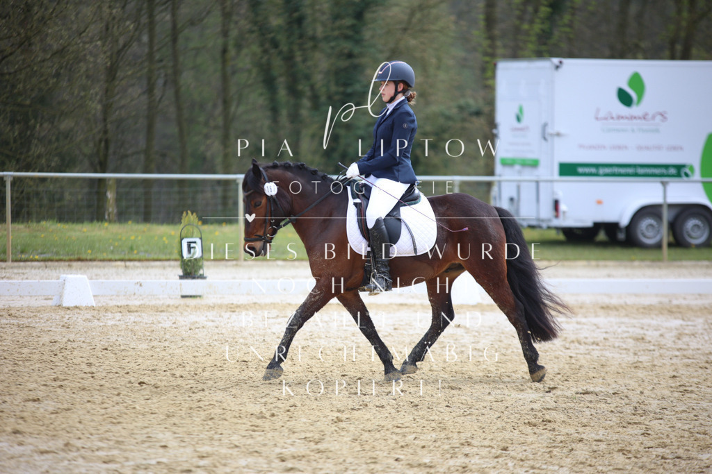 IMGT5015 | pl-fotografie