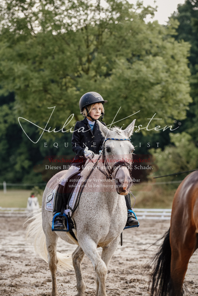 DSC_8320 | Pferde- und Turnierfotografie in Westsachsen. Pferdeportraits, Auftragszeichnungen und intuitive Kunst.