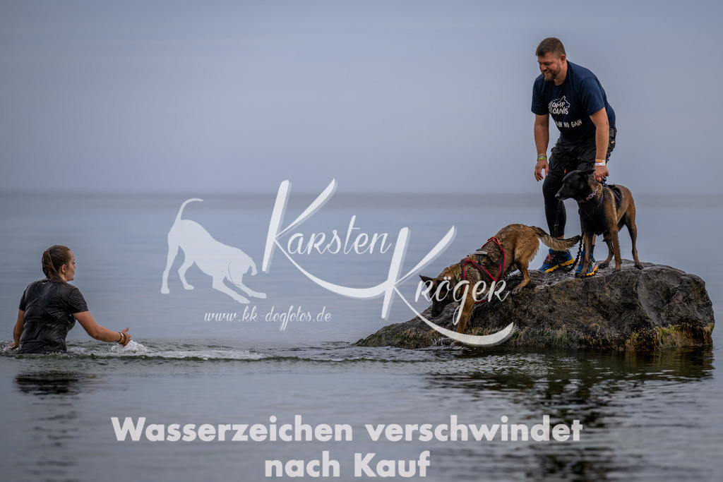 1224_ZZ91492 | kk-dogfotos