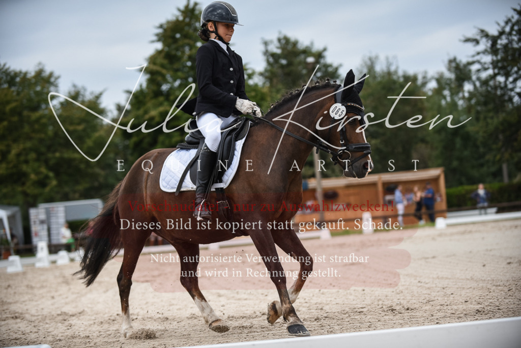 DSC_8169 | Pferde- und Turnierfotografie in Westsachsen. Pferdeportraits, Auftragszeichnungen und intuitive Kunst.
