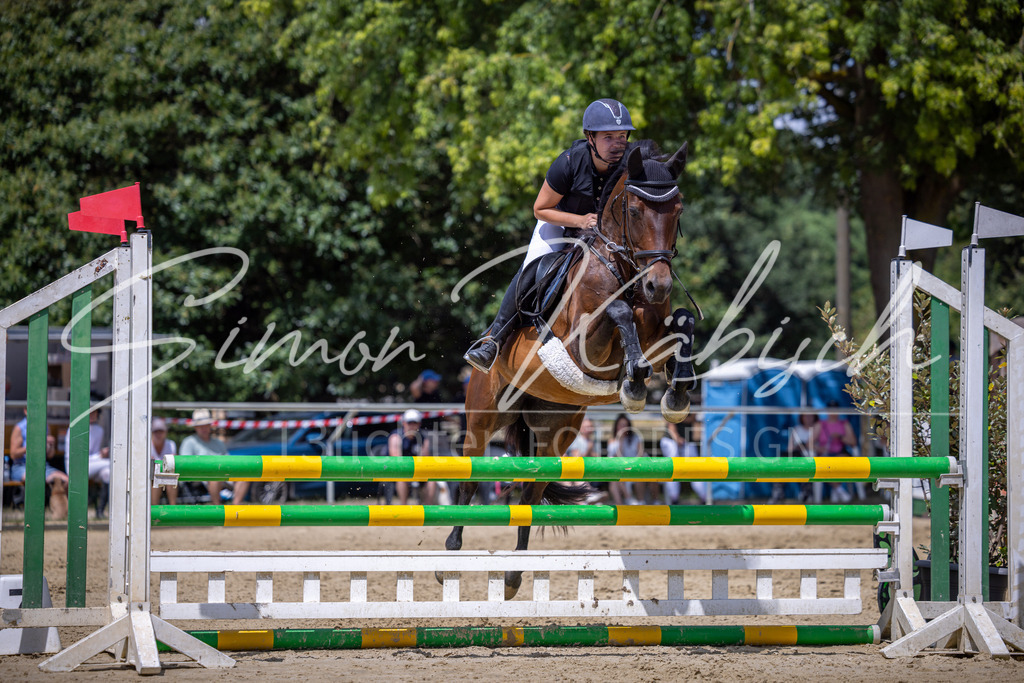 20260704-_3LI9872 | Tierfotografie Pferde, Hunde, Katzen, Haustiere.
Turnierfotografie Reitturniere, Reiten, Springreiten, Dressur in Hanau, dem Main-Kinzig-Kreis und dem Rhein-Main- Gebiet um Frankfurt