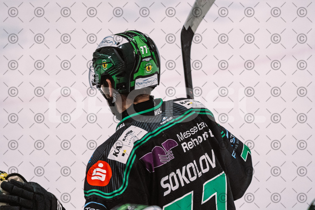 Alligators_vs_Bayreuth_16_01_2026-24 | Höchstadt Alligators Fotogalerie: Eishockey-Action aus Franken. Professionelle Spielfotos, Portraits & Stadionbilder zum Download. Jetzt entdecken! - Realisiert mit Pictrs.com
