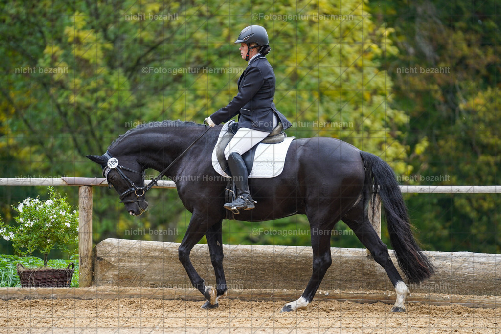 20221008-FAH01649 | Diessen am Ammersee, 2022, Dressur- und Springturnier, Reitsportbilder, Turnierfotografen Bayern, Pferdefotografen, Fotoagentur Herrmann, Turnierbilder