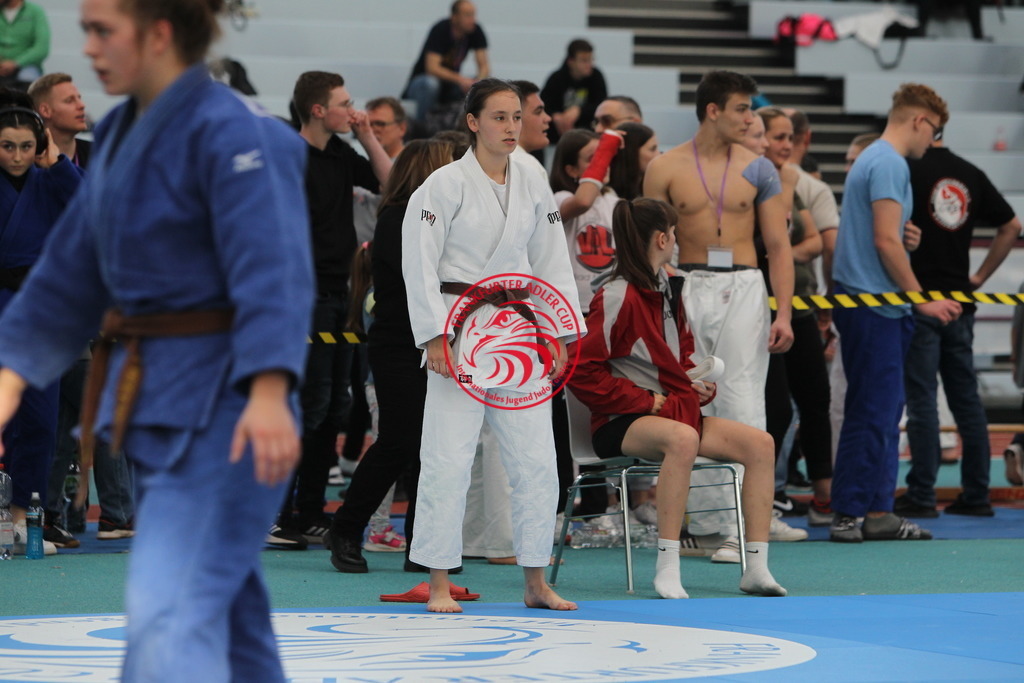 JT6F0475 | Fotos vom Adler Cup - Pictures from Adler Cup

Hier findet Ihr alle Eindrücke und großen Momente der Adler Cup Wochenenden. Here you will find all impressions and great moments of the Adler Cup weekends. - Realisiert mit Pictrs.com