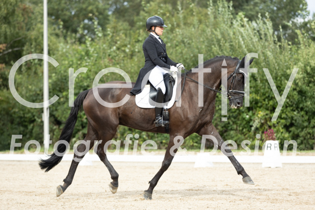 IMG_6801 | Creatify Fotografie