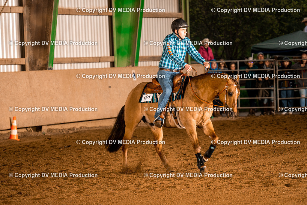 BAL01116 | dv-media-shop - Realisiert mit Pictrs.com