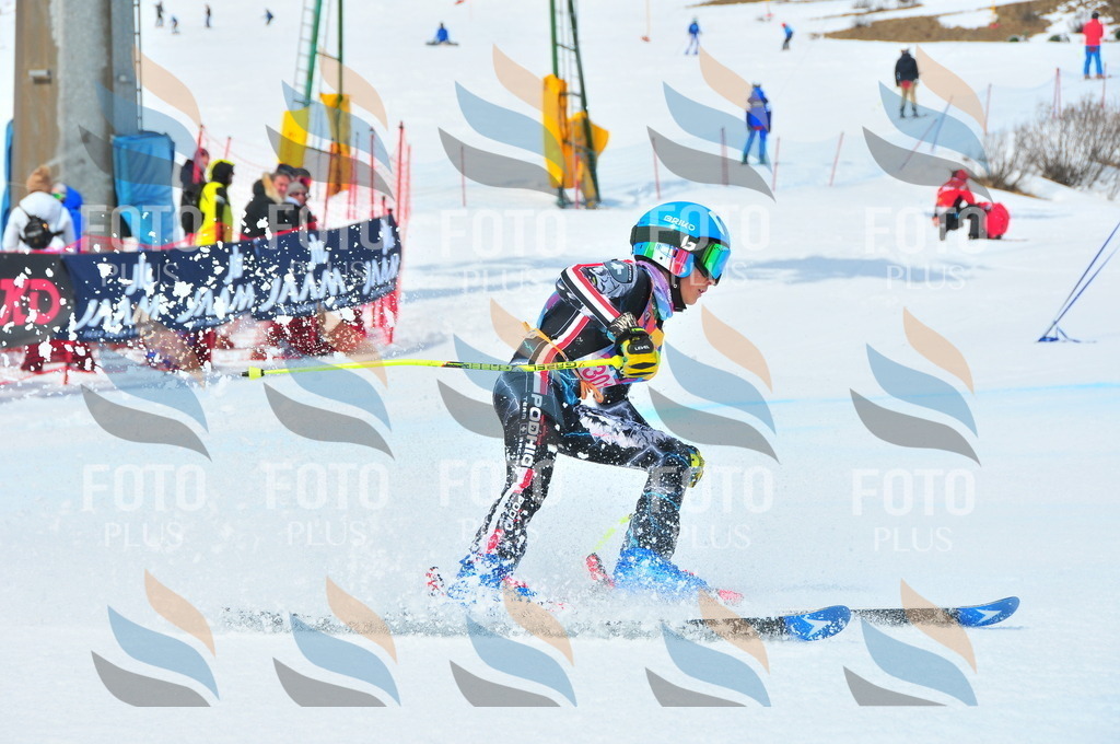 DSC_6565 | holidayphoto