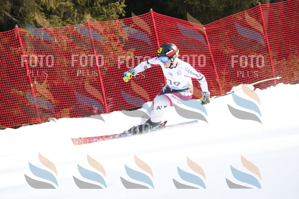 D8402 | holidayphoto