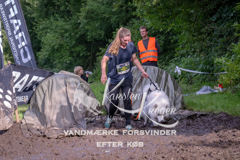 1735_ZZ92775 | kk-dogfotos