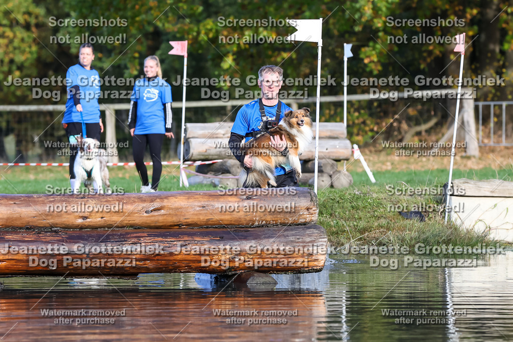 Dog Paparazzi - Strongdog 10-25-8527 | Dog Paparazzi Jeanette Grottendiek Fotografie & Videografie - Realisiert mit Pictrs.com