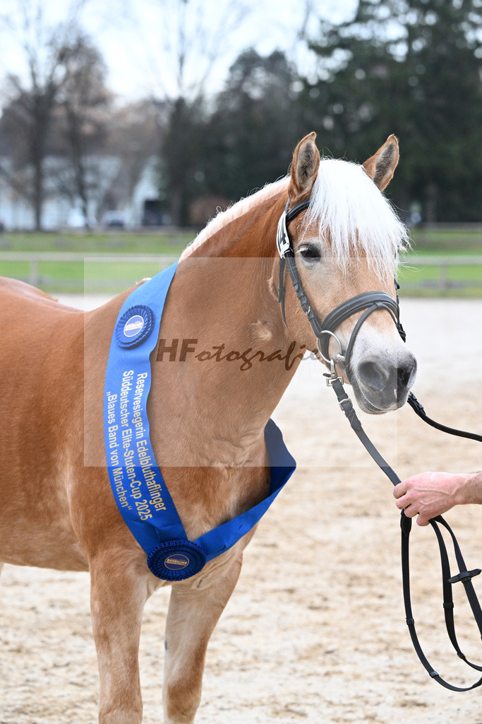 Bl. Band Kat-Nr. 14 Kleopatra v. Aquagon_Lang_48251644 | hf-fotografie - Realisiert mit Pictrs.com