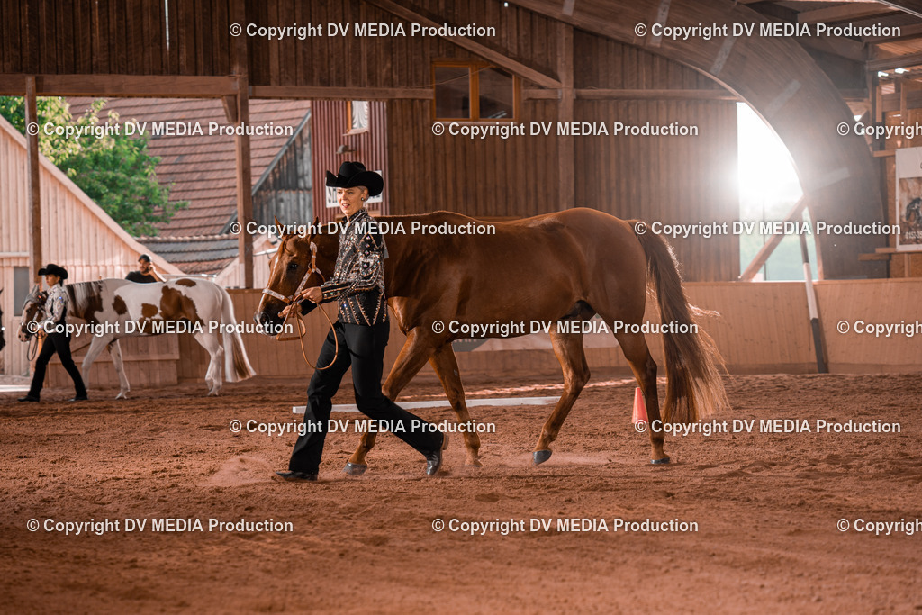 NE200028 | dv-media-shop - Realisiert mit Pictrs.com