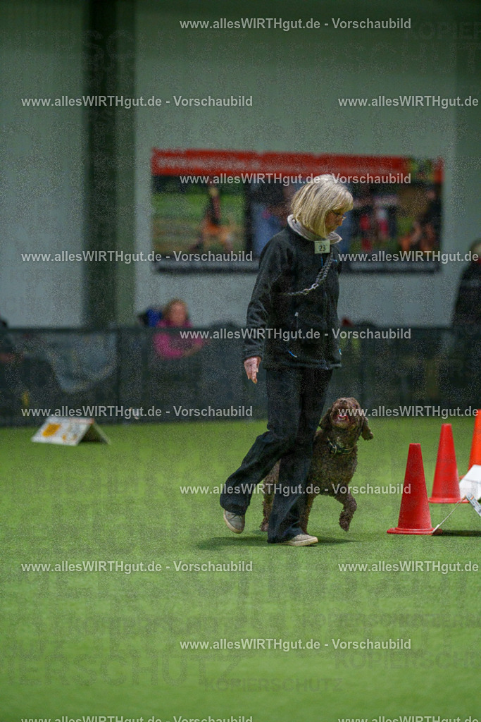 7R504928 | Professionelle Tierfotografie in Mönchengladbach von Daniel Wirth (allesWIRTHgut). Liebevolle & natürliche Bilder von Hunden & Katzen für unvergessliche Erinnerungen.