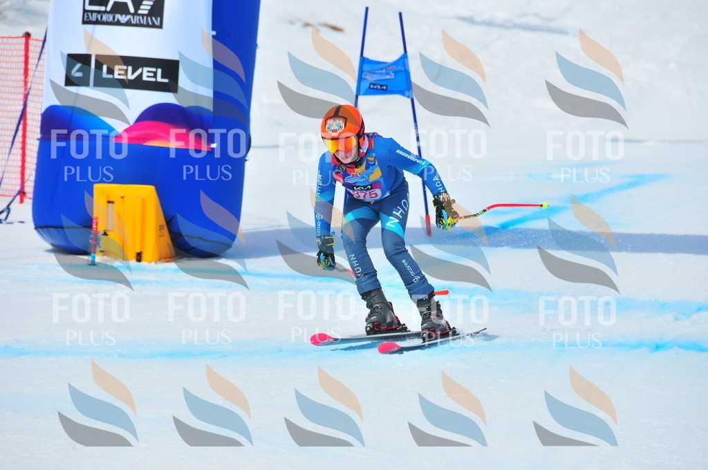 DSC_7168 | holidayphoto