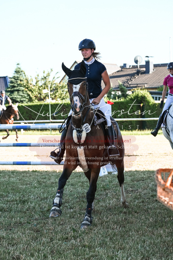 DSC_3208 | Pferde- und Turnierfotografie in Westsachsen. Pferdeportraits, Auftragszeichnungen und intuitive Kunst.
