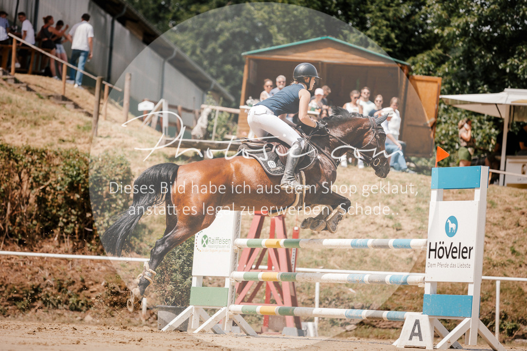 3I6A7884 | Stimmungsvolle Portraits und Reitsportfotografie im Ruhrgebiet und im Münsterland.

Pferdefotografie, Hundefotografie, Tierfotografie, Reportagen, Portraits von Tier und Mensch, Turnierfotografie in Bochum, Recklinghausen, Marl, Haltern am See, Dülmen.. - Realisiert mit Pictrs.com