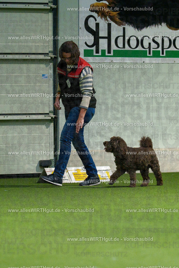 7R508360 | Professionelle Tierfotografie in Mönchengladbach von Daniel Wirth (allesWIRTHgut). Liebevolle & natürliche Bilder von Hunden & Katzen für unvergessliche Erinnerungen.