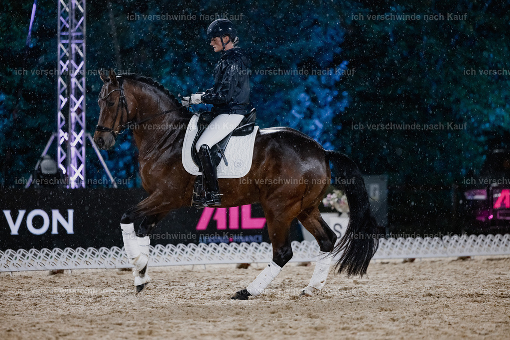 FHClassics-92 | working equitationturnier fotograf videograf stoibphotography marixx film working equitation deutschland reitsport turnierfotografie eventfotografie equestrian events