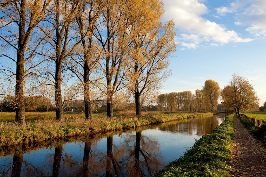 101031-030 | Europa, DEU, Deutschland, Nordrhein Westfalen, NRW, Rheinland, Niederrhein, Wachtendonk, Fluss, Die Niers, Flusslandschaft, Aue, Flussaue, Auenlandschaft, Herbst, Baeume, Pappeln, Pappelbaeume, Kategorien und Themen, Natur, Umwelt, Landschaft, Jahreszeiten, Stimmungen, Landschaftsfotografie, Landschaften, Landschaftsphoto, Landschaftsphotographie, Wetter, Wetterelemente, Wetterlage, Wetterkunde, Witterung, Witterungsbedingungen, Wettererscheinungen, Meteorologie, Wettervorhersage....[Fuer die Nutzung gelten die jeweils gueltigen Allgemeinen Liefer-und Geschaeftsbedingungen. Nutzung nur gegen Verwendungsmeldung und Nachweis. Download der AGB unter http://www.image-box.com oder werden auf Anfrage zugesendet. Freigabe ist vorher erforderlich. Jede Nutzung des Fotos ist honorarpflichtig gemaess derzeit gueltiger MFM Liste - Kontakt, Uwe Schmid-Fotografie, Duisburg, Tel. (+49).2065.677997, ..archiv@image-box.com, www.image-box.com] - Realisiert mit Pictrs.com