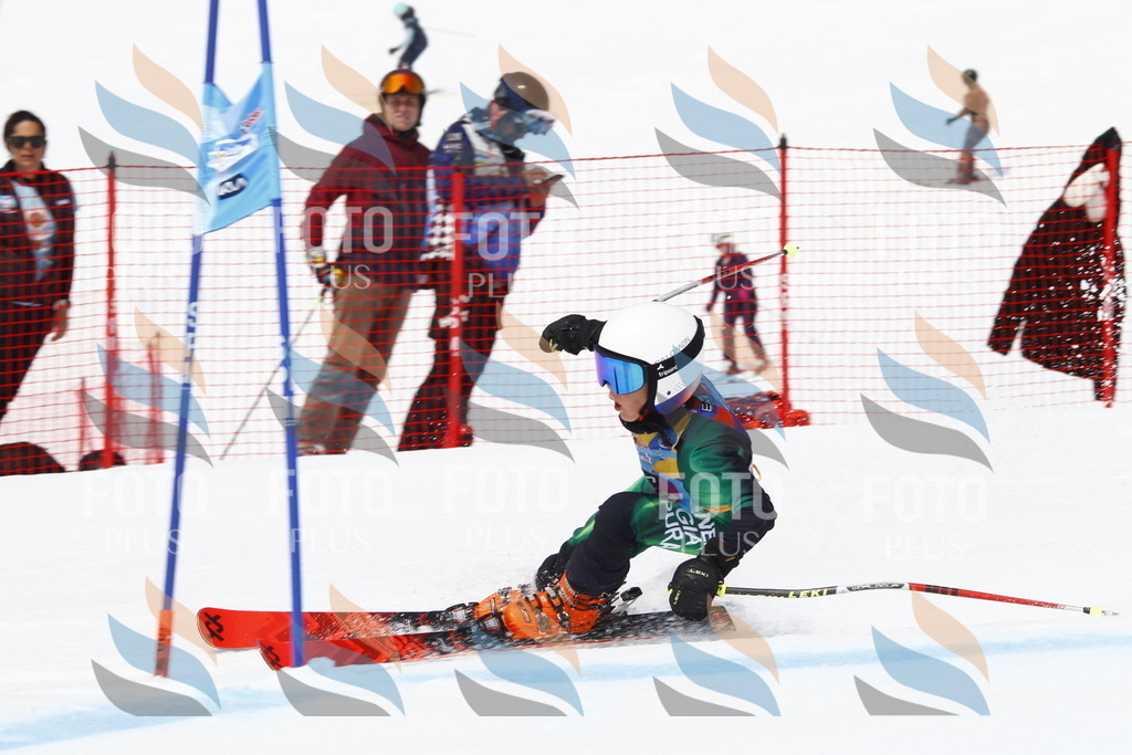 _U3G5769 | holidayphoto