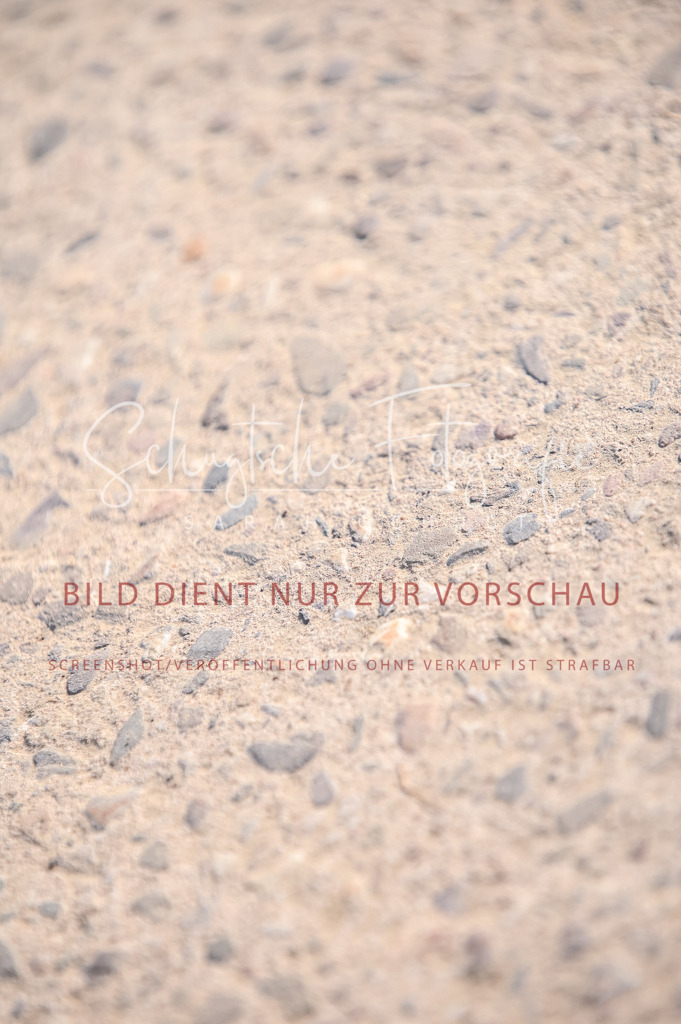 Schugtsche-Aluta25-52.Dressurprf.M2Kand-90 | Schugtsche Fotografie - Realisiert mit Pictrs.com