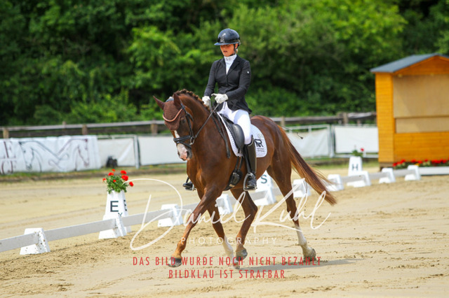 DKP46176 | Turniersportfotografie; Pferdefotografie; Dressurfotografie