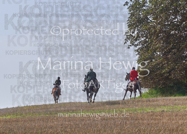 09-23 Jagd Perdöl_MCH9945_Marina Hewig | Fotografie, FotoArt, PferdesportArt, Pferdesportfotografie, Landschaftsfotografie, Reisefotografie, Reise, Pferde - Realisiert mit Pictrs.com