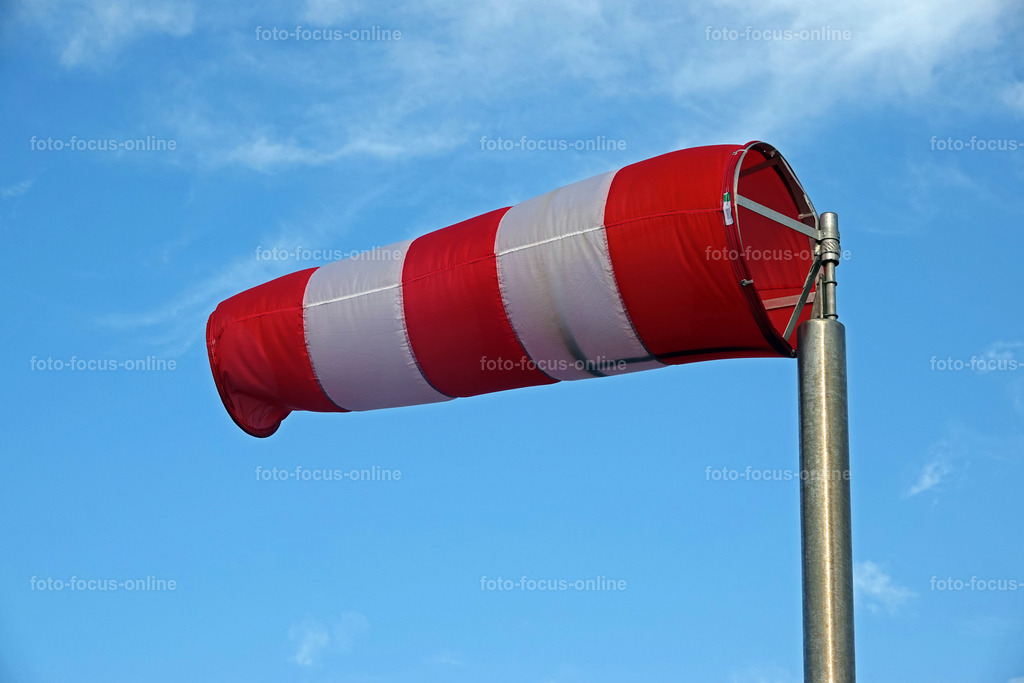 12 | foto-focus-online