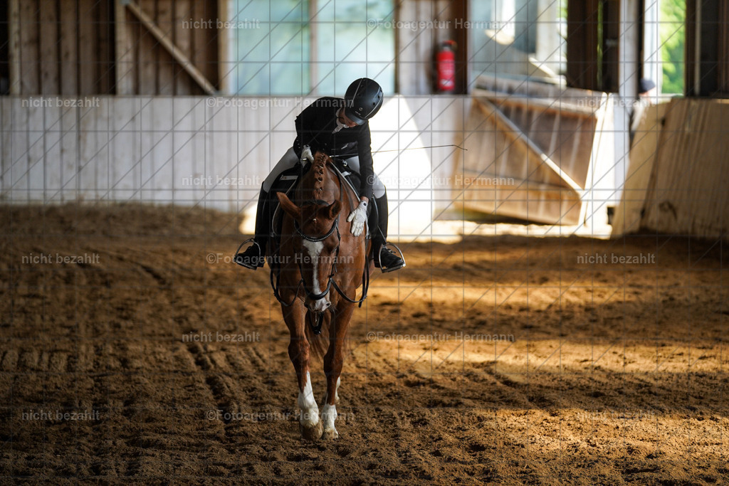 20230518-FAH03562 | Frühjahrsturnier, landberg am Lech, 2023, Reitclub Landsberg, Turnierbilder, Fotos Turnier Landsberg, Fotoagentur Herrmann, Turnierfotografen Bayern, reitsport Fotograf, Pferde Fotograf
