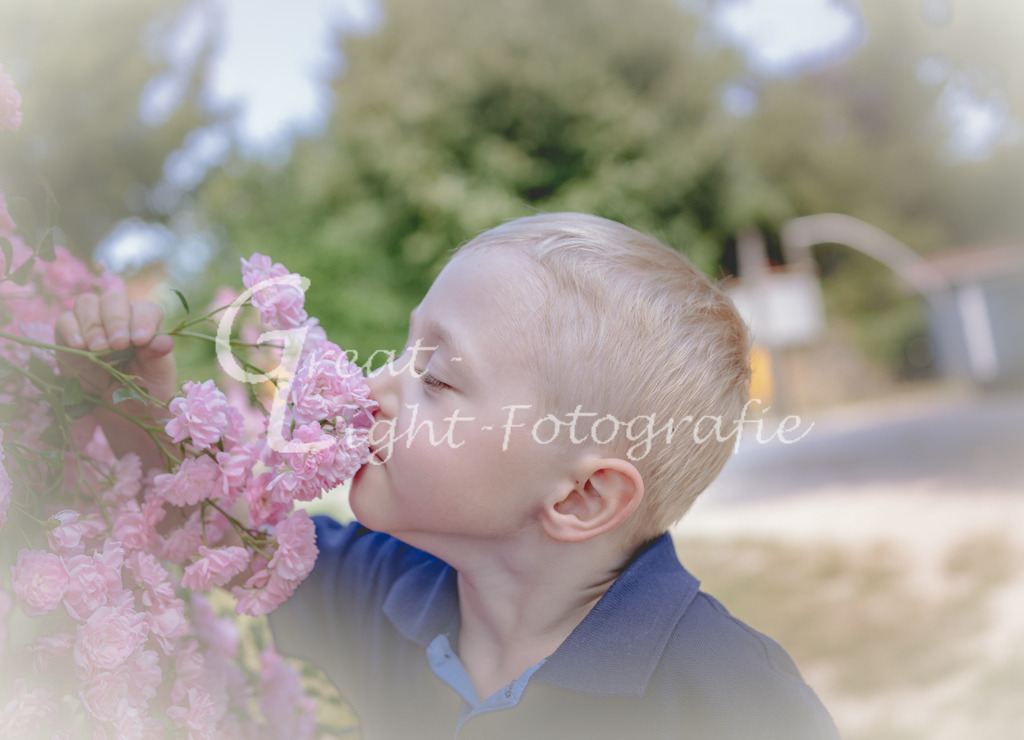 Bestversion-1-20 | Great-Light Fotografie - Realisiert mit Pictrs.com