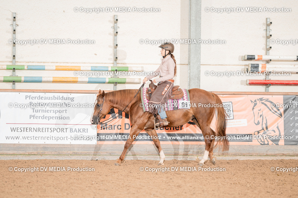 LM Heiligenwald Tag 3-810 | dv-media-shop - Realisiert mit Pictrs.com