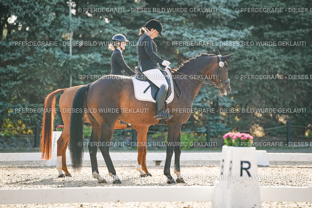 DSC07982 | Pferdegrafie