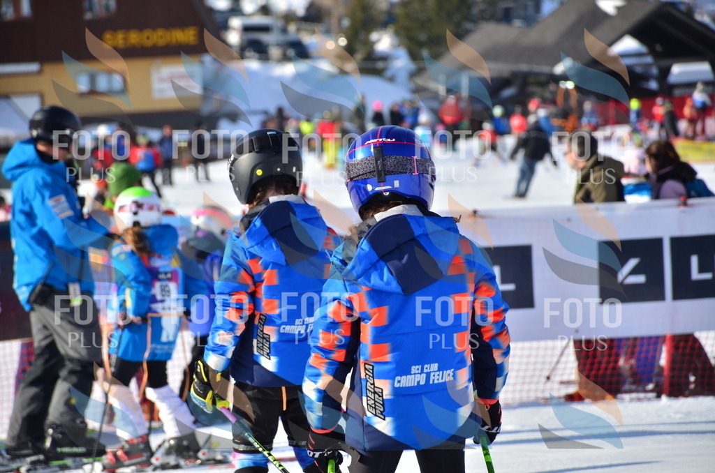 VR4_5175 | holidayphoto