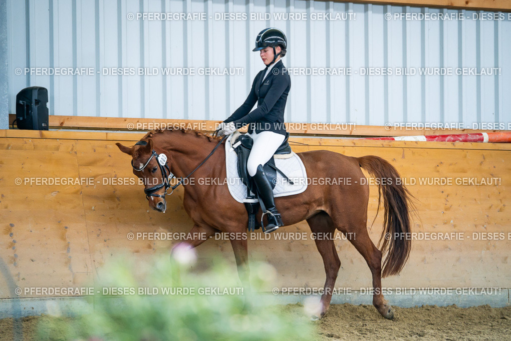 DSC05200 | Pferdegrafie