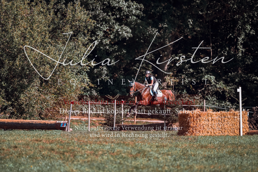 DSC_1000 | Pferde- und Turnierfotografie in Westsachsen. Pferdeportraits, Auftragszeichnungen und intuitive Kunst.