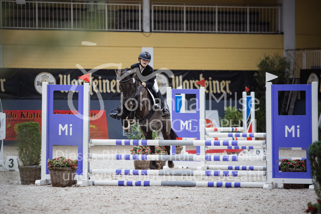 221112_Warstein_E-Stil-435 | Deine schönsten Turniermomente als professionelle Fotos! Entdecke hochwertige Pferdesport-Fotografie im Online-Shop. Jetzt Fotos finden & bestellen!