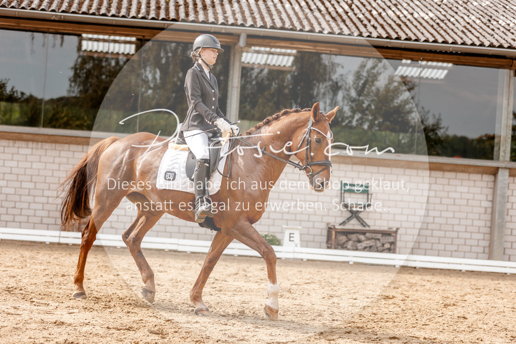 3I6A3925 | Stimmungsvolle Portraits und Reitsportfotografie im Ruhrgebiet und im Münsterland.

Pferdefotografie, Hundefotografie, Tierfotografie, Reportagen, Portraits von Tier und Mensch, Turnierfotografie in Bochum, Recklinghausen, Marl, Haltern am See, Dülmen.. - Realisiert mit Pictrs.com