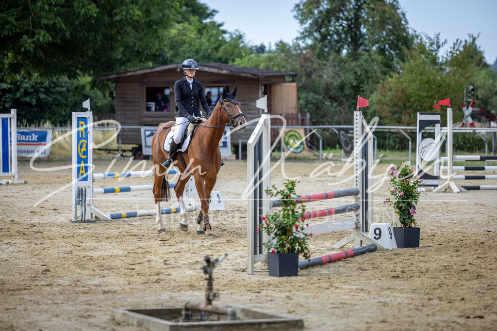 20260704-_3LI6335 | Tierfotografie Pferde, Hunde, Katzen, Haustiere.
Turnierfotografie Reitturniere, Reiten, Springreiten, Dressur in Hanau, dem Main-Kinzig-Kreis und dem Rhein-Main- Gebiet um Frankfurt