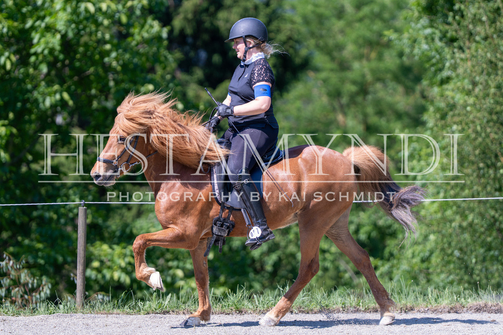 KAI05725 | Ihr sucht einen Fotografen für eure nächste OSI? Ich begleite auch euer Turnier für Islandpferde fotografisch.  - Realisiert mit Pictrs.com