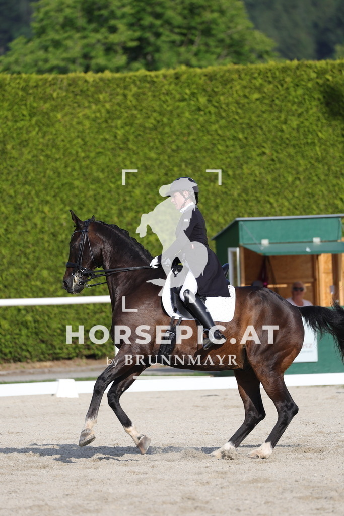 0P6A3848 | Willkommen bei Brunnmayr - Design & Fotografie – Ihrem Spezialisten für Reitturniere und Pferdeveranstaltungen in Oberösterreich, Salzburg und Bayern! Seit über 17 Jahren sind wir leidenschaftlich dabei.